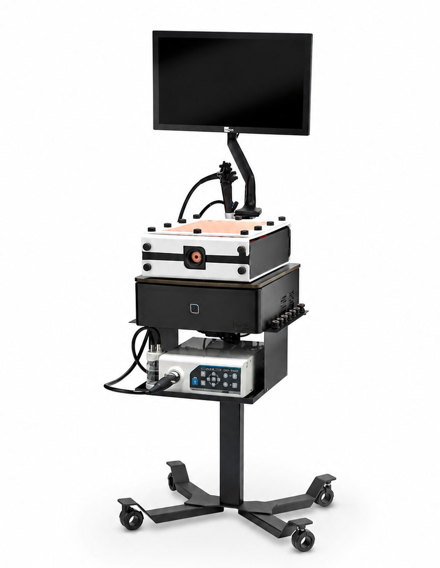 Flexible Endoscopy Simulators