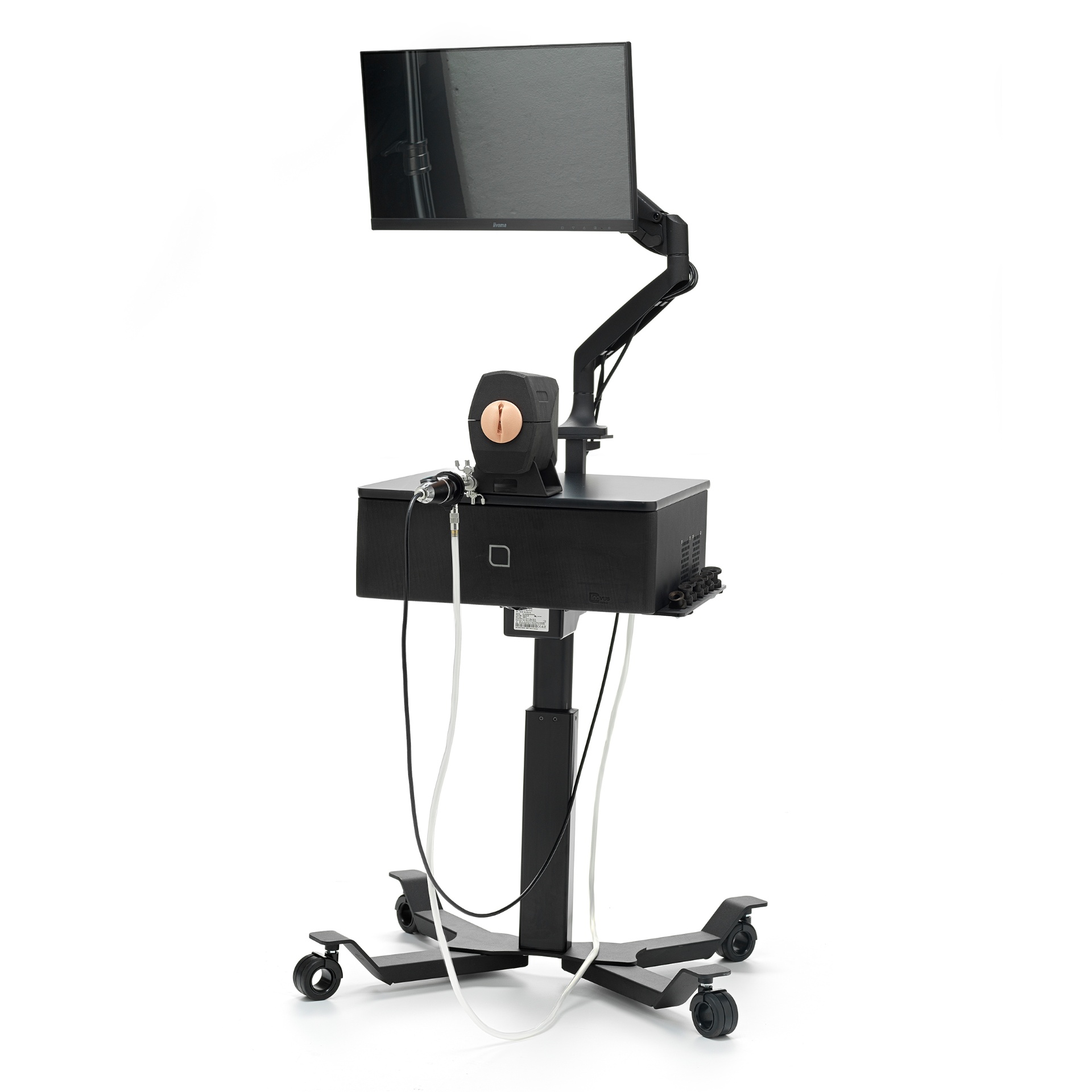 Hysteroscopy Simulators